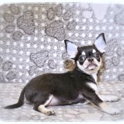 All At Once Emerald In Gold