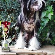 Freya Lola Pompinell´