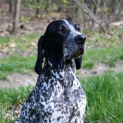 SIROCCO DU RUISSEAU DE MONTBRUN