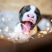 TANANA Because of Crazy Time 