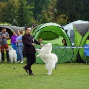 CERSEI Raising Fluffy