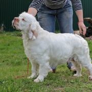 АРИЕТТИ ЭМИЛИО / ARIETTI EMILIO