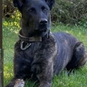 Tiara Diexie Bella Sama