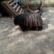 Nulla z Banciarni FCI