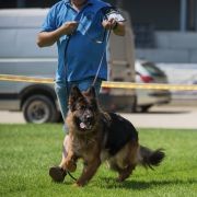 Jessy von der wilden Dreizehn