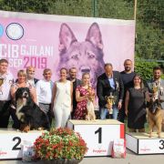 FEEL THE THUNDER Zakira FCI