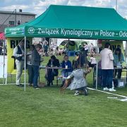 MORAWA z Tałchejów