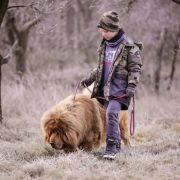 GVR Uzzi Mya to Mi-Tsang 