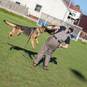 Cappucino van de Duca Vallei