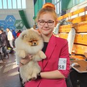 WILLY WONKA the Scarlet Hill