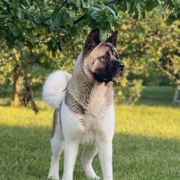 Alisa Hill of Hope FCI