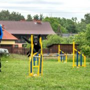 Black Lady Vom Schweizer Rudel 3