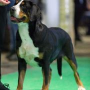 Grosser Family Barbara De Asti