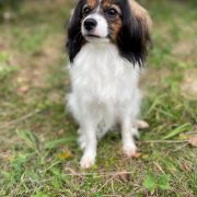 JUDY Beautiful Secrets(FCI)