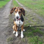 UNCJA Huculska Dolina