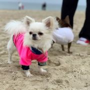 Tiffany Stilish Babe