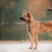 Kwest's Byeoljari at Yuukitohokori