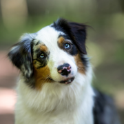 Red Rock ROLLING IN THE DEEP