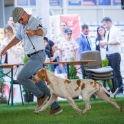 CALDAFERRA Loyal Point 3