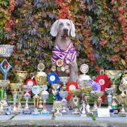 Caramel Love de Donawitz