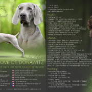 Caramel Love de Donawitz