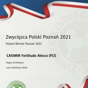 CASIMIR Fortitudo Alesco 2