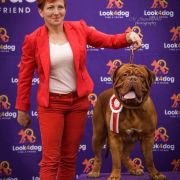 CASIMIR Fortitudo Alesco 3