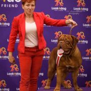 CASIMIR Fortitudo Alesco 4