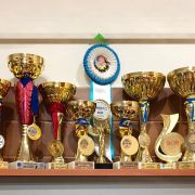 ERDOGYONGYE VADASZ HAVAS 