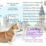 Ван Лен Тайм Чероки Гранд