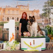 SIBERIAN HUNTER DAISY-BEAUTY