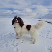 Anabella Beautiful Secrets