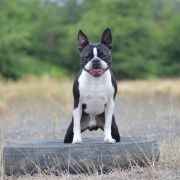 Christian Dior Salamanka