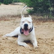 TANQUECITO DEL Ojo en la Mano 