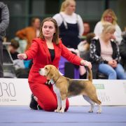 Cevaytis WANDA VISION 3