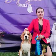 Cevaytis WANDA VISION 4