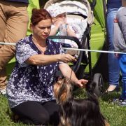 COLETT z Krainy Fiony FCI