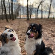 Ursulla Star of Elune aka Sydney