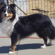 I AM LUCY Pasterskie Ranczo 