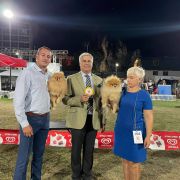 Ch.PL,, Ch.MK, Zwyc.Klubu'19 Perishell YOU MAKE ME SMILE