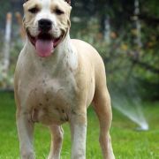 CH,PL NORD KEEPER IWAN z Wiślanego Portu 3