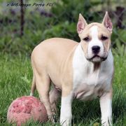 CH,PL NORD KEEPER IWAN z Wiślanego Portu 5