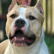 CH,PL NORD KEEPER IWAN z Wiślanego Portu 2