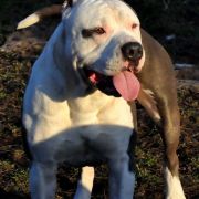 CHAMP POKEROWY ŻYWOT of Top Power 