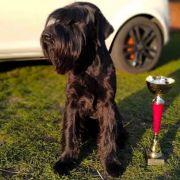 Cherni Strazhnik Factor-X For ElfaraPoland 4