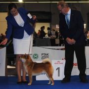 Chihiro Wild Spirits From Bariva 4