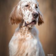 Clos Erasmus FRASER 2