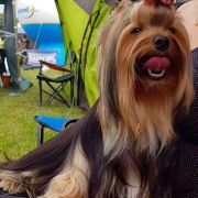 COCO CHANEL Z Krainy Fiony 2