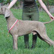 Contact with Marvel Atagora