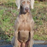 Contact with Marvel Atagora